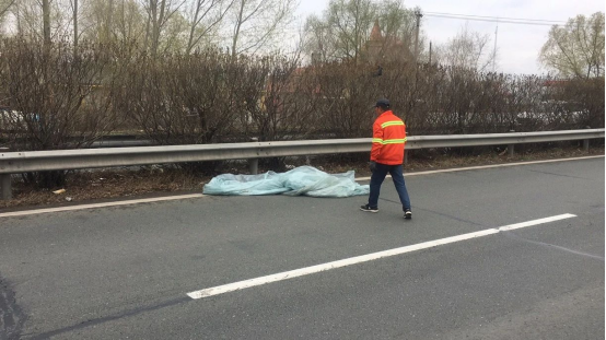 061620267716577332.png image.png