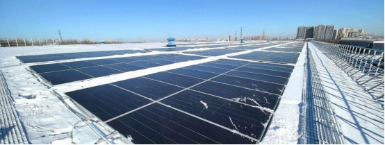 191773899803565942.png image.png